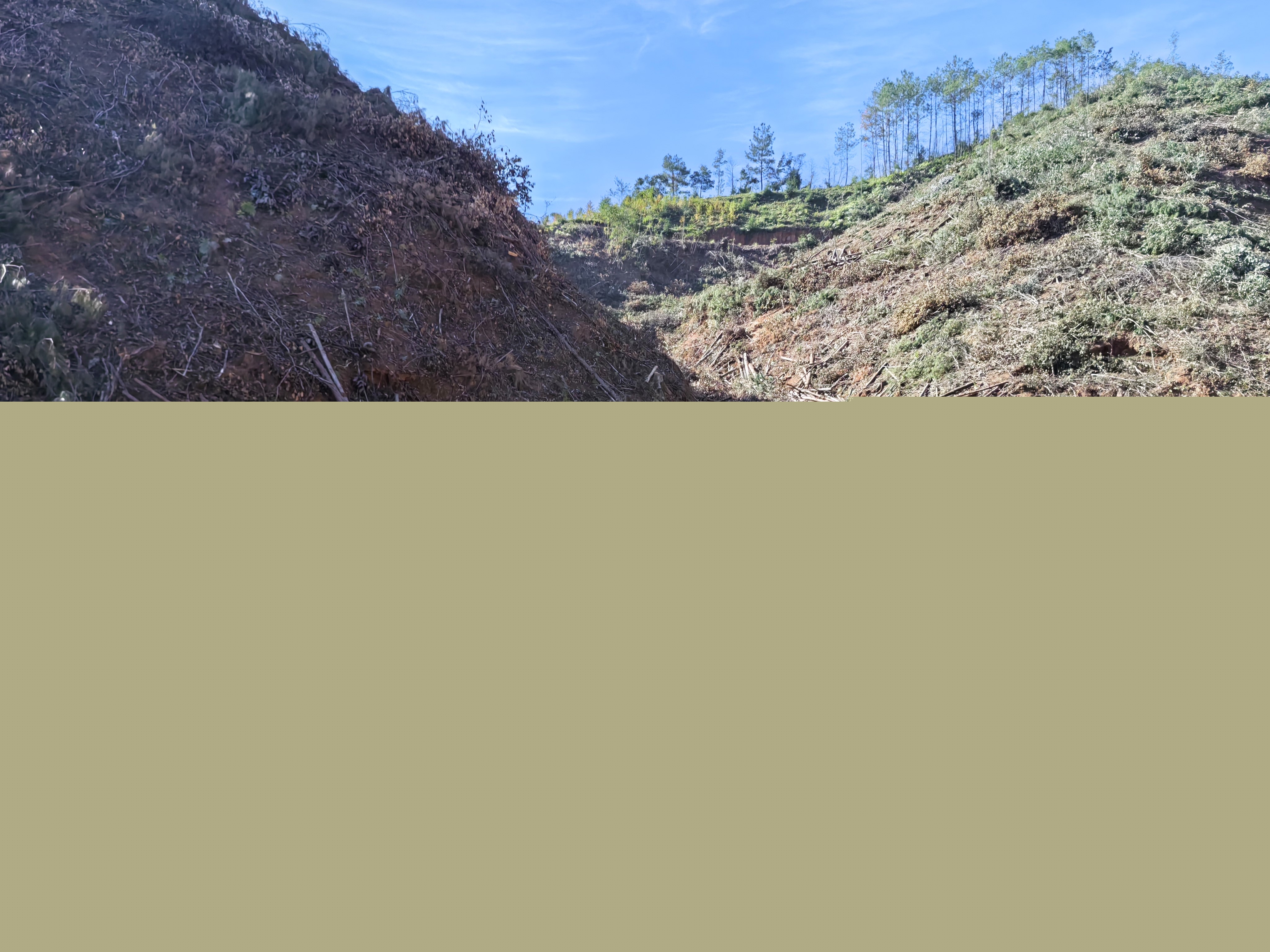 平安常青，我們在行動——常青分公司開展安全生產日活動