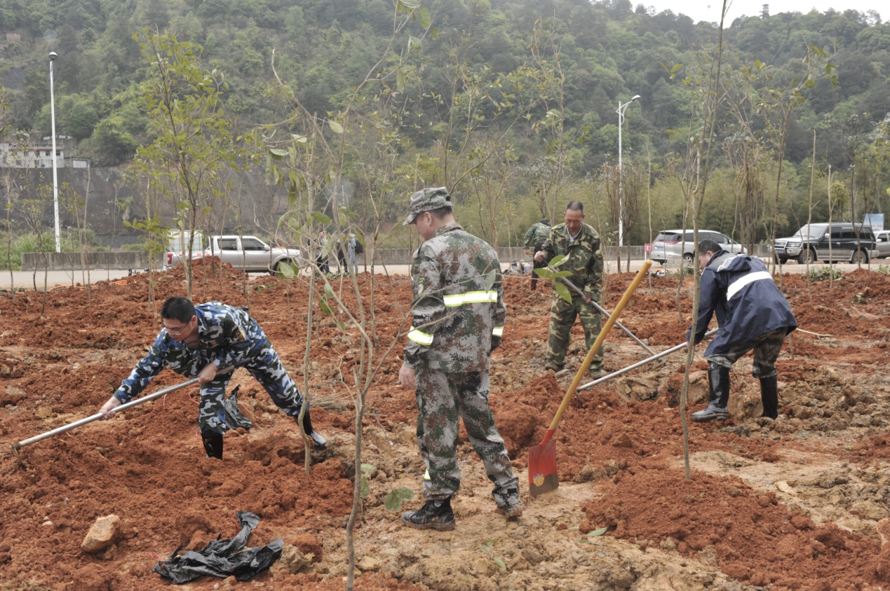 陽春三月雨，正是植樹好時節