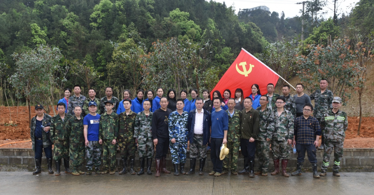 陽春三月雨，正是植樹好時節