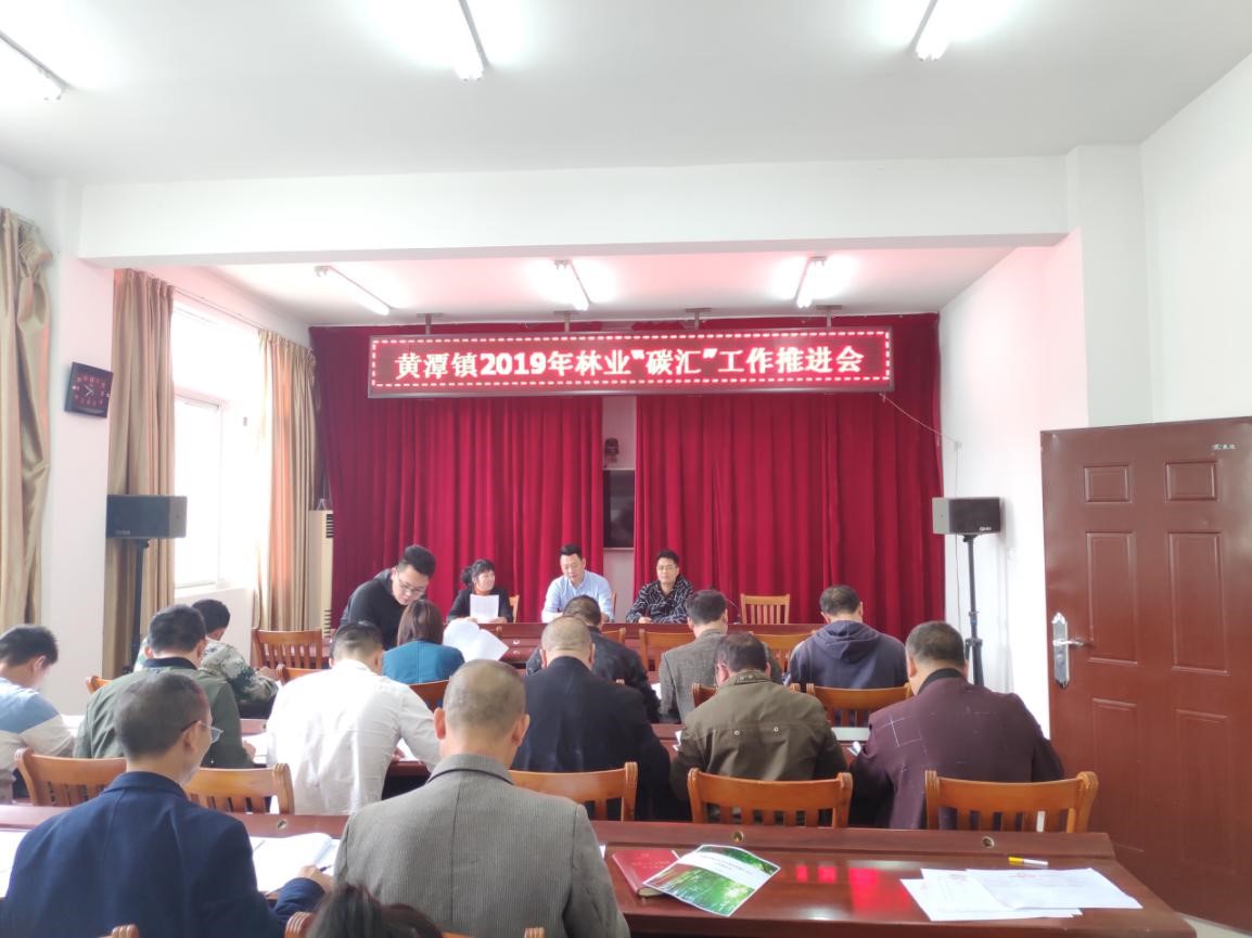 福建金森踐行”綠水青山就是金山銀山“  推進(jìn)毛竹林經(jīng)營(yíng)碳匯項(xiàng)目開(kāi)發(fā)