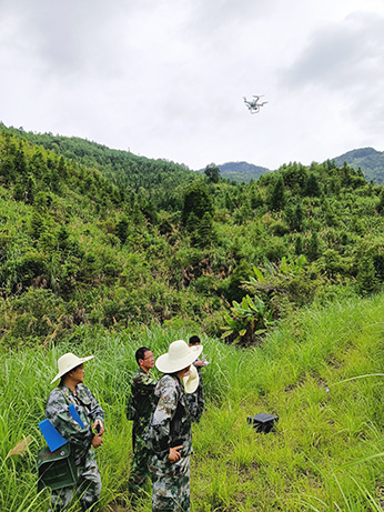 嚴把森林培育質量關，譜寫資源培育新篇章